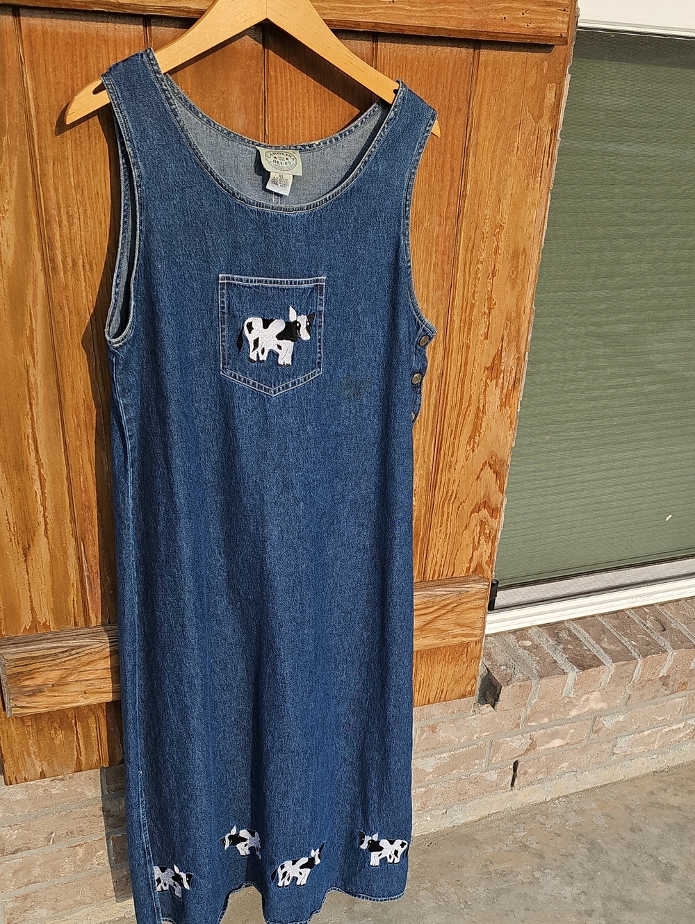 Carolina Blues Cow Denim Dress